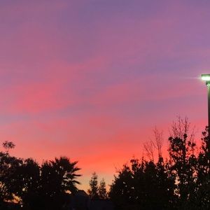 Meet your Posher, Iris